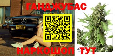 стаф Донской