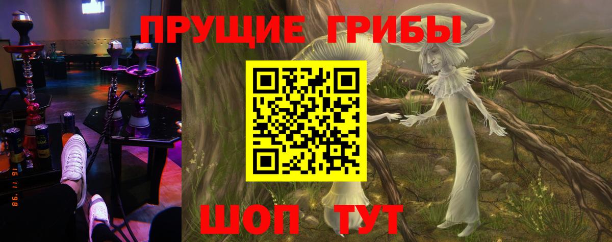 Магнитогорск  как найти закладки  Вход с VPN  Галлюциногенные грибы Psilocybe  Галлюциногенные грибы Magic Shrooms 
